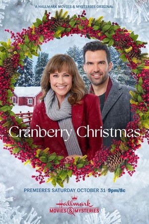 Cranberry Christmas (2020) - poster