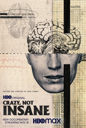 Crazy, Not Insane (2020) - poster