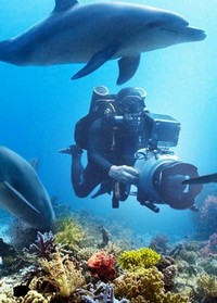 Diving with Dolphins (2020) - poster