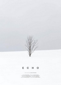 Echo (2020) - poster