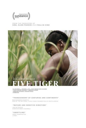 Five Tiger (2020) - poster