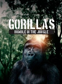 Gorillas Rumble in the Jungle (2020) - poster