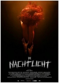 Im Nachtlicht (2020) - poster