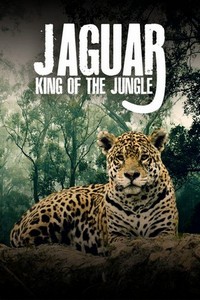 Jaguar: King of the Jungle (2020) - poster