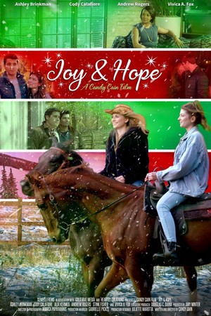 Joy & Hope (2020) - poster