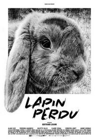 Lapin Perdu (2020) - poster