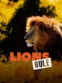 Lions Rule (2020) - poster