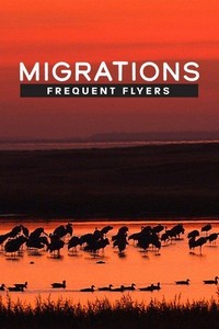 Migrations: Frequent Flyers (2020) - poster