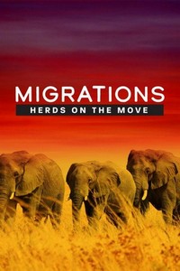 Migrations: Herds on the Move (2020) - poster