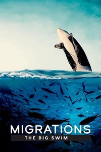 Migrations: The Big Swim (2020) - poster