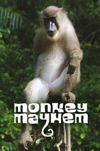 Monkey Mayhem (2020) - poster