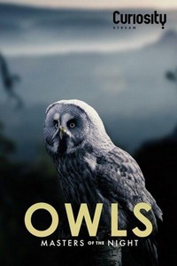 Owls: Masters of the Night (2020) - poster