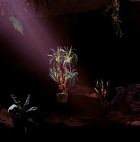 Plantarium (2020) - poster