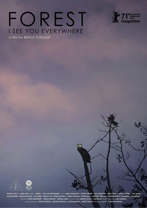 Rengeteg - Mindenhol Látlak (2020) - poster