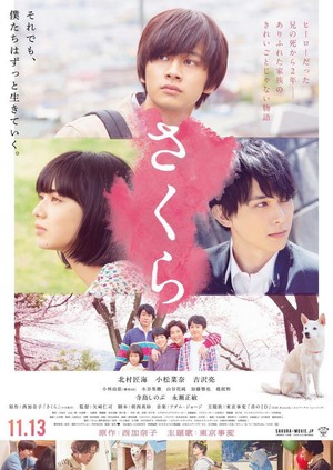 Sakura (2020) - poster