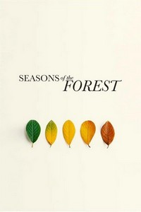 Seasons of the Forest (2020) - poster