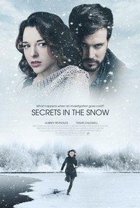 Secrets in the Snow (2020) - poster