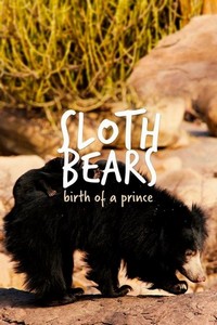 Sloth Bears: Birth of a Prince (2020) - poster