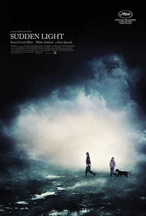 Sudden Light (2020) - poster