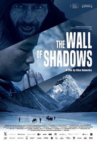 The Wall of Shadows (2020) - poster