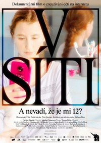 V Síti (2020) - poster