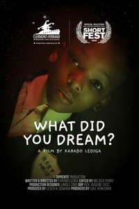 What Did You Dream? (2020) - poster