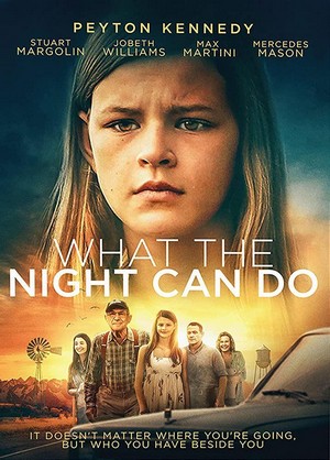What the Night Can Do (2020) - poster