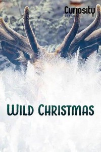 Wild Christmas (2020) - poster