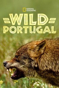 Wild Portugal (2020) - poster