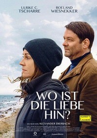 Wo Ist die Liebe Hin? (2020) - poster