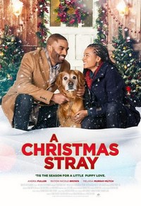 A Christmas Stray (2021) - poster