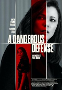 A Dangerous Defense (2021) - poster