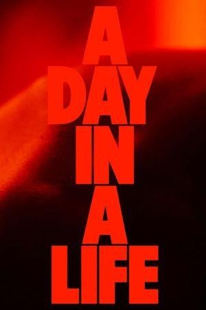 A Day in a Life (2021) - poster