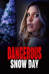 Dangerous Snow Day (2021) - poster