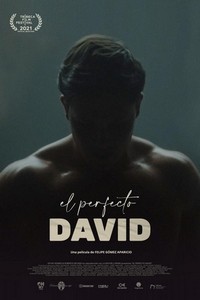 El Perfecto David (2021) - poster