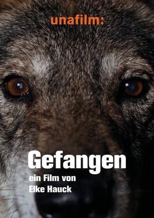 Gefangen (2021) - poster