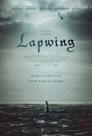 Lapwing (2021) - poster