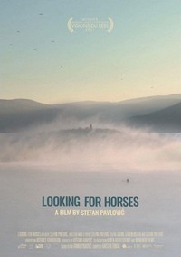 Looking for Horses (2021) - poster