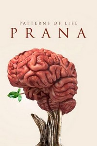 Patterns of Life: Prana (2021) - poster