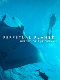 Perpetual Planet: Heroes of the Oceans (2021) - poster