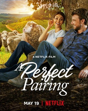 A Perfect Pairing (2022) - poster