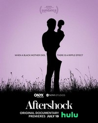 Aftershock (2022) - poster