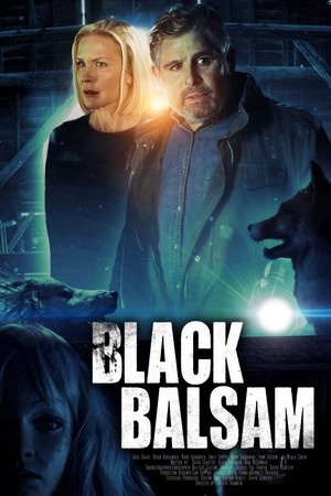 Black Balsam (2022) - poster