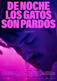 De Noche los Gatos son Pardos (2022) - poster