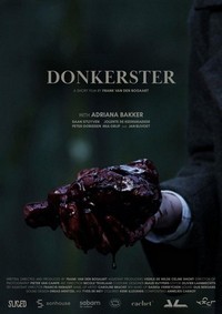 Donkerster (2022) - poster