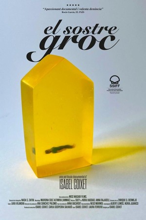 El Sostre Groc (2022) - poster