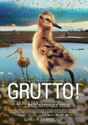 Grutto! De Reis van Onze Nationale Vogel (2022) - poster