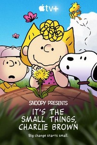 It's The Small Things, Charlie Brown (2022) - poster