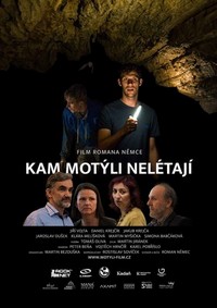 Kam Motýli Nelétají (2022) - poster