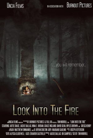 Look into the Fire (2022) - poster